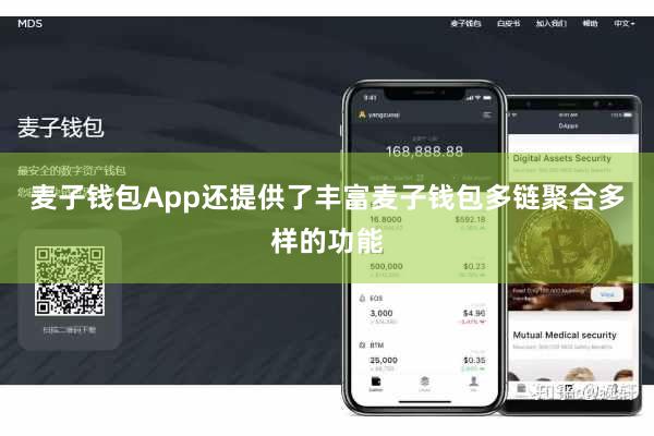 麦子钱包App还提供了丰富麦子钱包多链聚合多样的功能