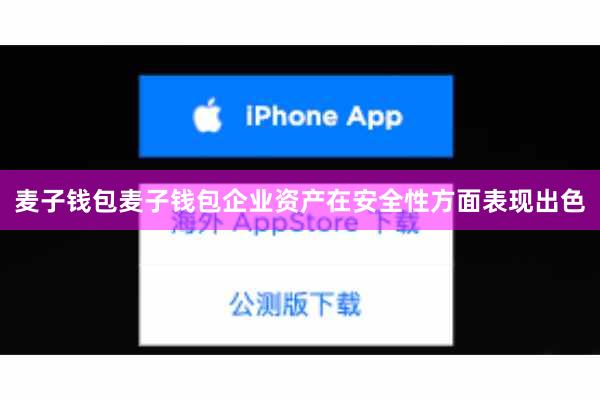 麦子钱包麦子钱包企业资产在安全性方面表现出色