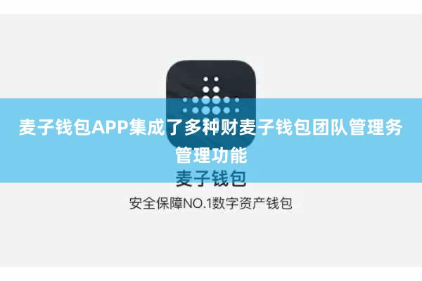 麦子钱包APP集成了多种财麦子钱包团队管理务管理功能