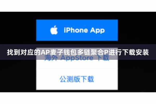 找到对应的AP麦子钱包多链聚合P进行下载安装