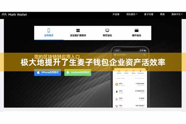极大地提升了生麦子钱包企业资产活效率