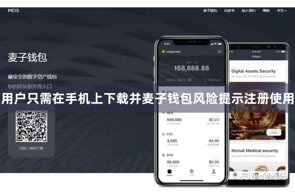 用户只需在手机上下载并麦子钱包风险提示注册使用