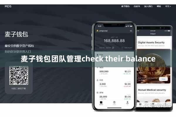 麦子钱包团队管理check their balance