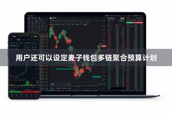 用户还可以设定麦子钱包多链聚合预算计划