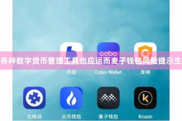各种数字货币管理工具也应运而麦子钱包风险提示生