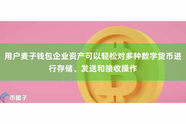 用户麦子钱包企业资产可以轻松对多种数字货币进行存储、发送和接收操作