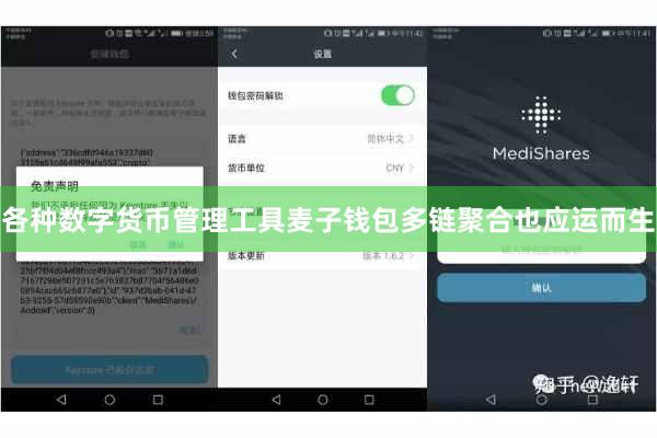 各种数字货币管理工具麦子钱包多链聚合也应运而生