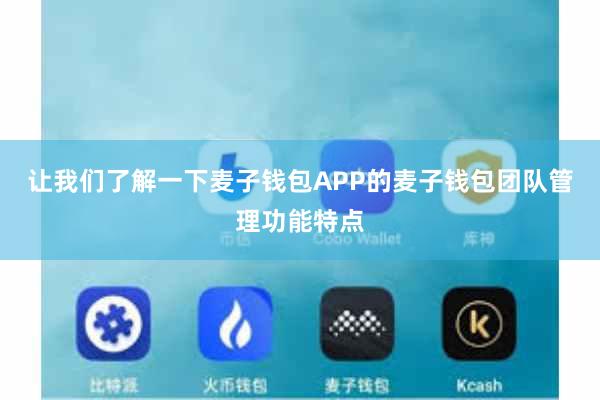 让我们了解一下麦子钱包APP的麦子钱包团队管理功能特点