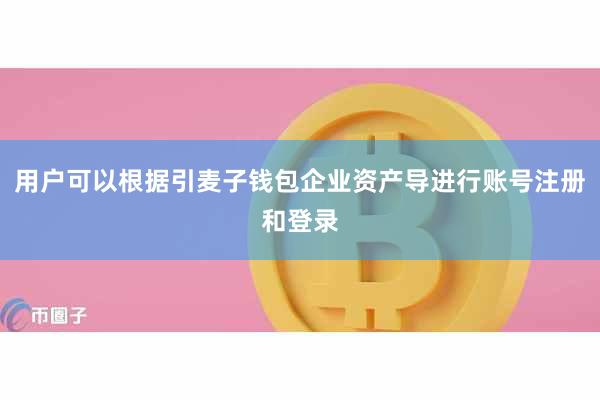 用户可以根据引麦子钱包企业资产导进行账号注册和登录