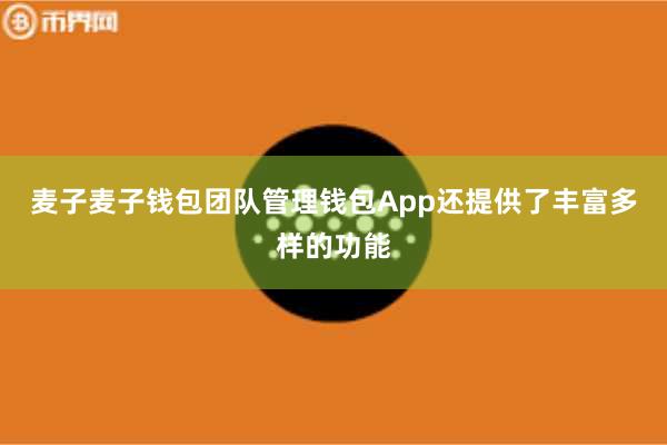麦子麦子钱包团队管理钱包App还提供了丰富多样的功能