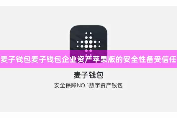 麦子钱包麦子钱包企业资产苹果版的安全性备受信任