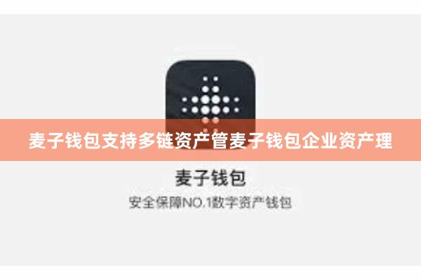 麦子钱包支持多链资产管麦子钱包企业资产理