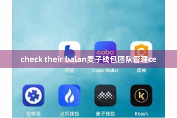 check their balan麦子钱包团队管理ce
