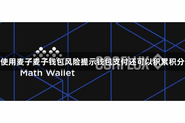 使用麦子麦子钱包风险提示钱包支付还可以积累积分