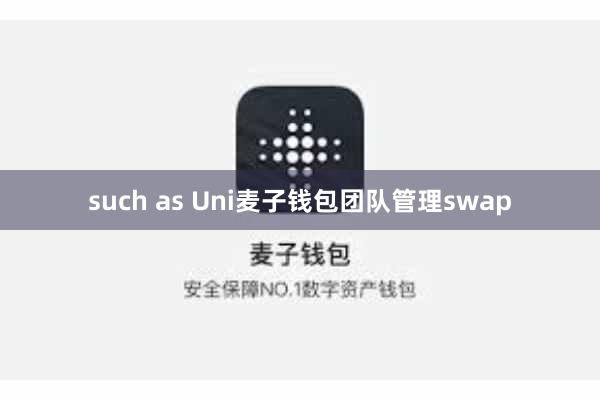 such as Uni麦子钱包团队管理swap