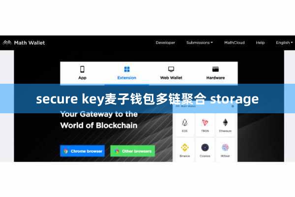 secure key麦子钱包多链聚合 storage