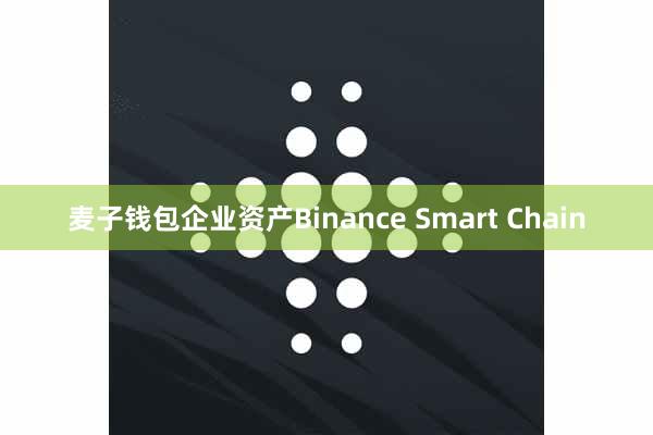 麦子钱包企业资产Binance Smart Chain