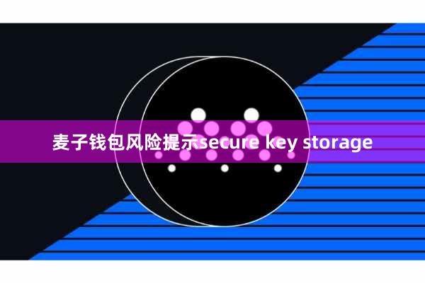 麦子钱包风险提示secure key storage