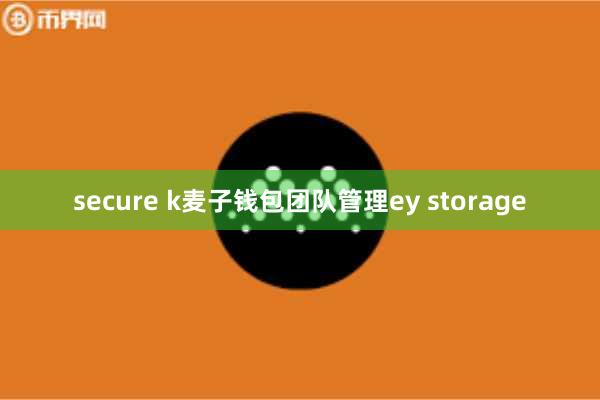 secure k麦子钱包团队管理ey storage