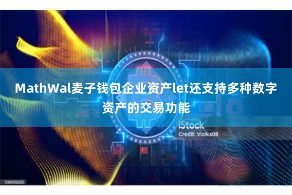 MathWal麦子钱包企业资产let还支持多种数字资产的交易功能