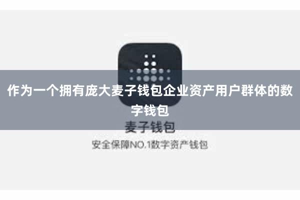 作为一个拥有庞大麦子钱包企业资产用户群体的数字钱包