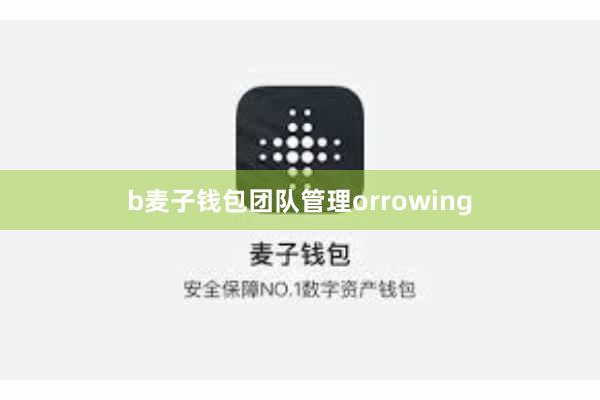 b麦子钱包团队管理orrowing