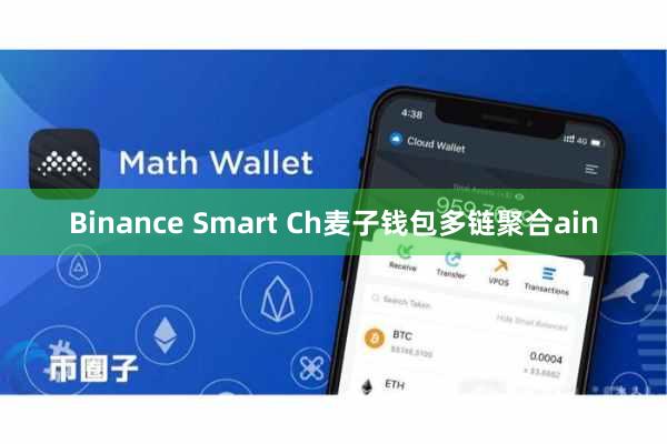 Binance Smart Ch麦子钱包多链聚合ain