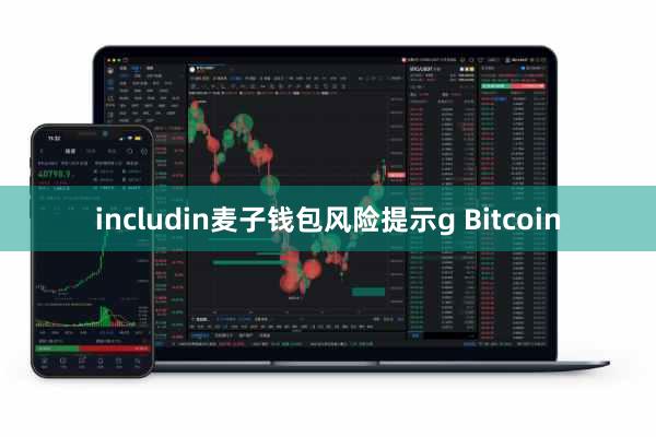 includin麦子钱包风险提示g Bitcoin