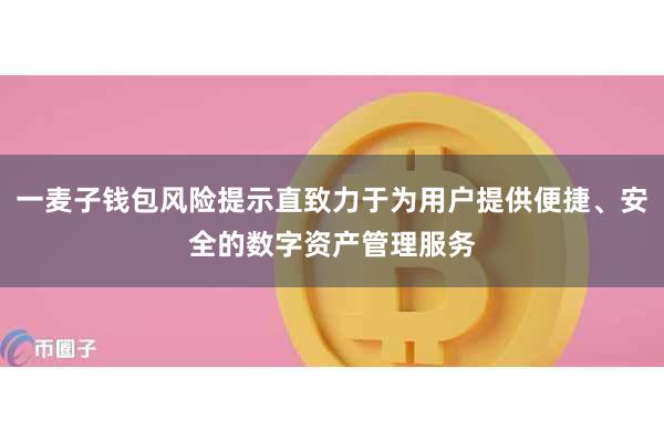 一麦子钱包风险提示直致力于为用户提供便捷、安全的数字资产管理服务