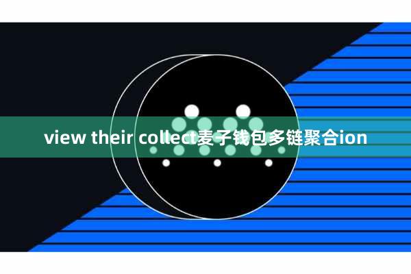 view their collect麦子钱包多链聚合ion