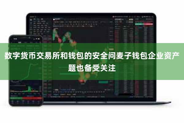 数字货币交易所和钱包的安全问麦子钱包企业资产题也备受关注