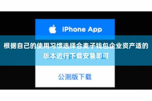 根据自己的使用习惯选择合麦子钱包企业资产适的版本进行下载安装即可
