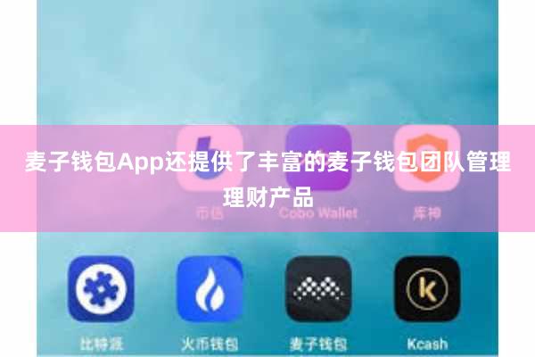 麦子钱包App还提供了丰富的麦子钱包团队管理理财产品
