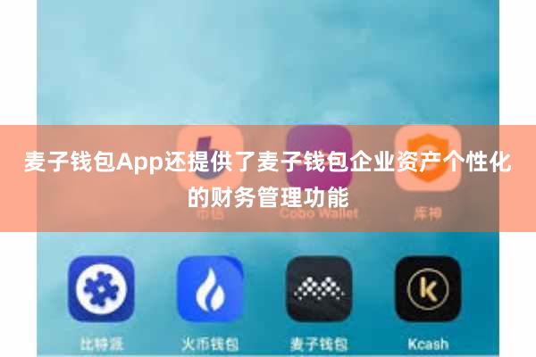 麦子钱包App还提供了麦子钱包企业资产个性化的财务管理功能