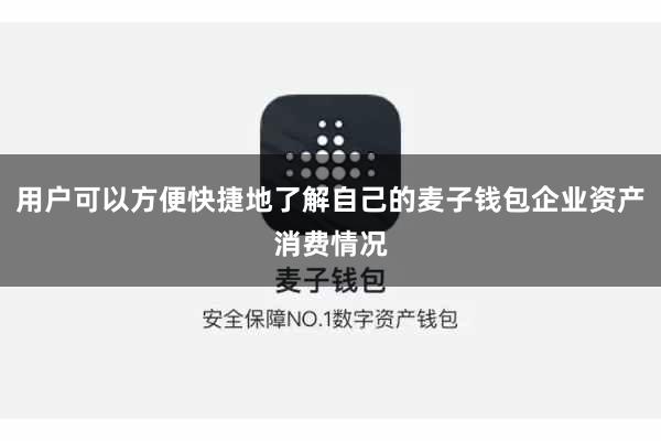 用户可以方便快捷地了解自己的麦子钱包企业资产消费情况