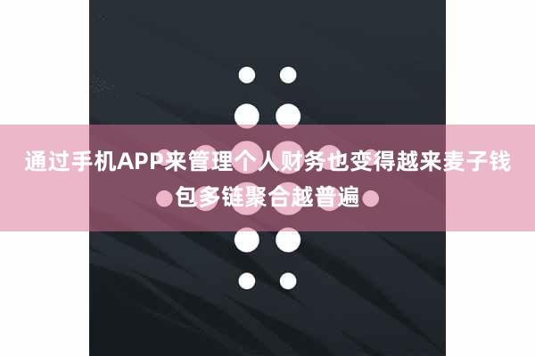 通过手机APP来管理个人财务也变得越来麦子钱包多链聚合越普遍