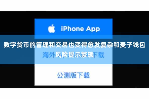 数字货币的管理和交易也变得愈发复杂和麦子钱包风险提示繁琐