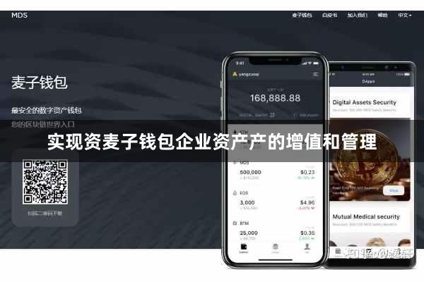 实现资麦子钱包企业资产产的增值和管理