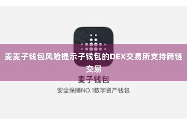 麦麦子钱包风险提示子钱包的DEX交易所支持跨链交易