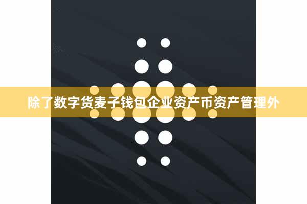 除了数字货麦子钱包企业资产币资产管理外