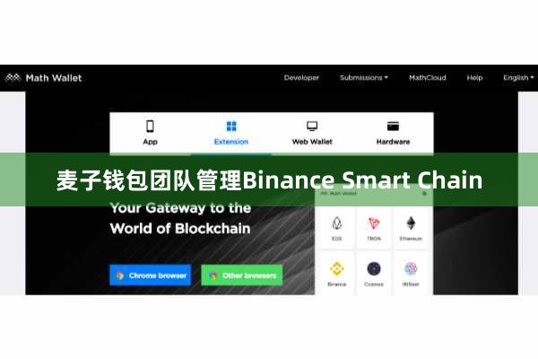麦子钱包团队管理Binance Smart Chain