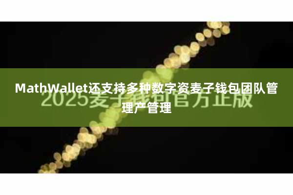 MathWallet还支持多种数字资麦子钱包团队管理产管理