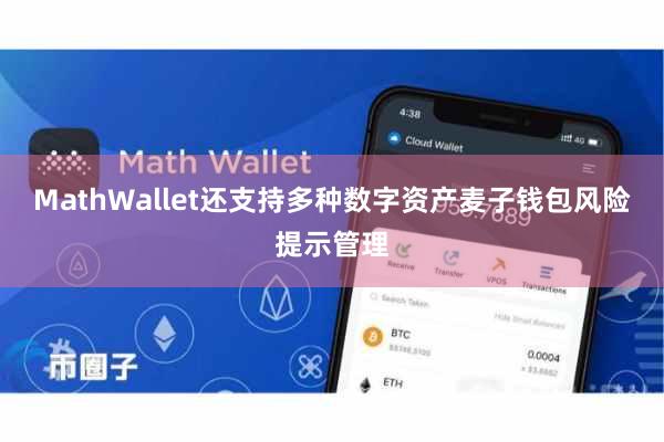 MathWallet还支持多种数字资产麦子钱包风险提示管理