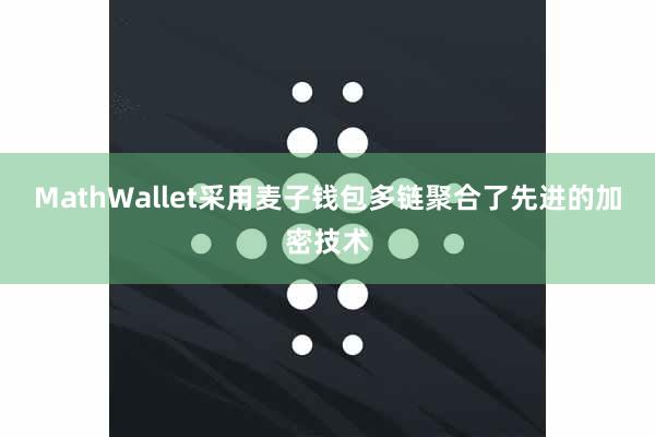 MathWallet采用麦子钱包多链聚合了先进的加密技术